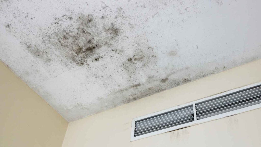 Mold growth on a ceiling near an air vent.