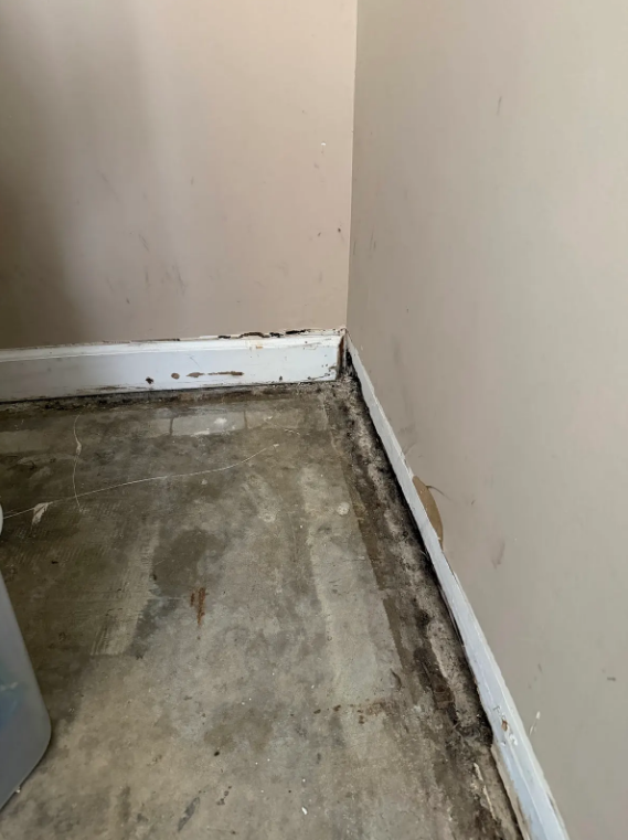 image displaying minor mold damage on the wall of clean and modern property living room. The property is clean and modern, but has minor mold damage
