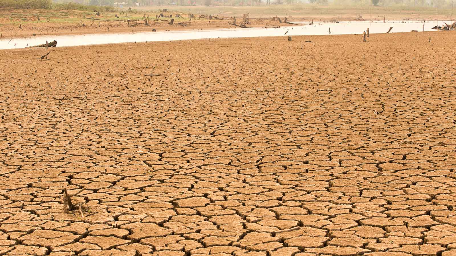 Dry, cracked land caused by El Niño conditions.